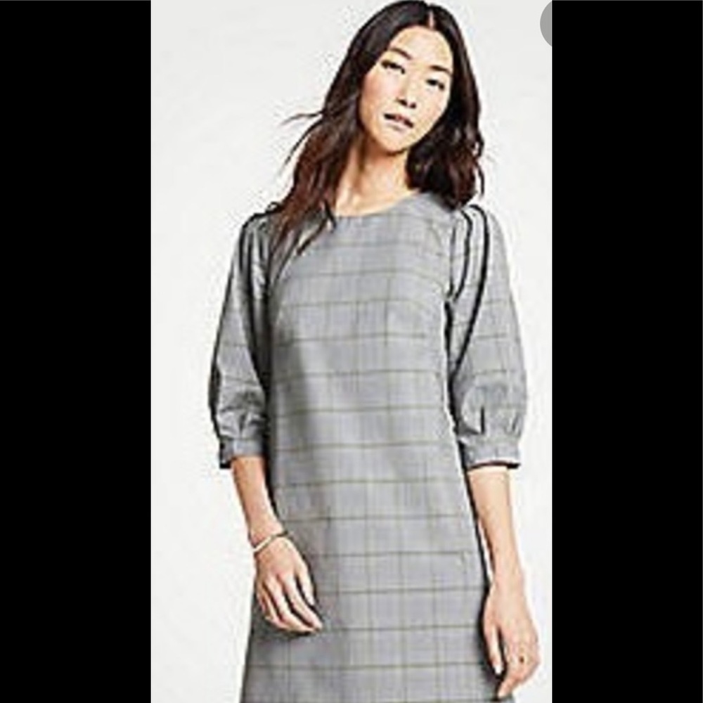 NWT beautiful plaid shift dress